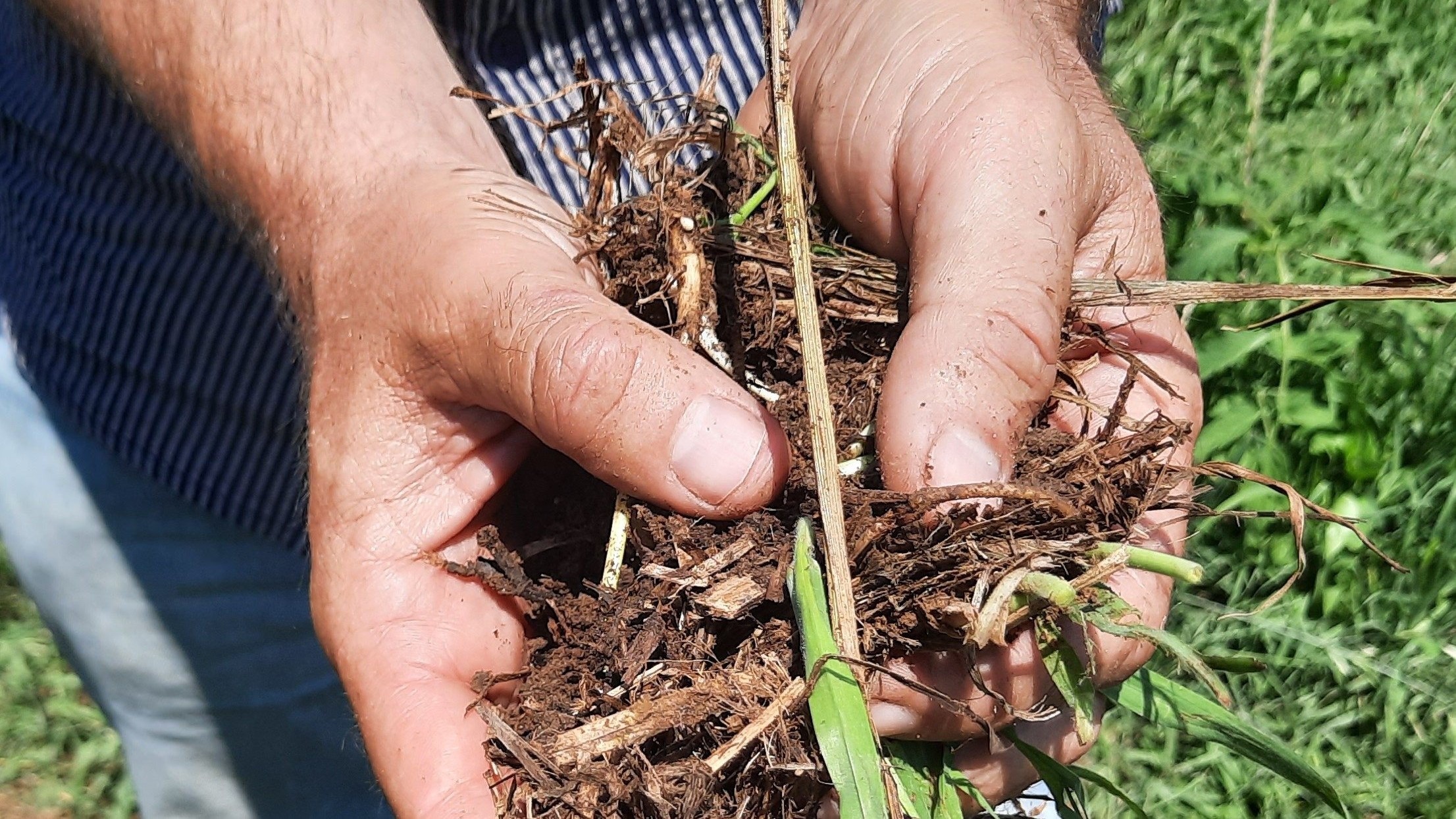 Proyecto Geocarbon|header_geocarbon2023_v2